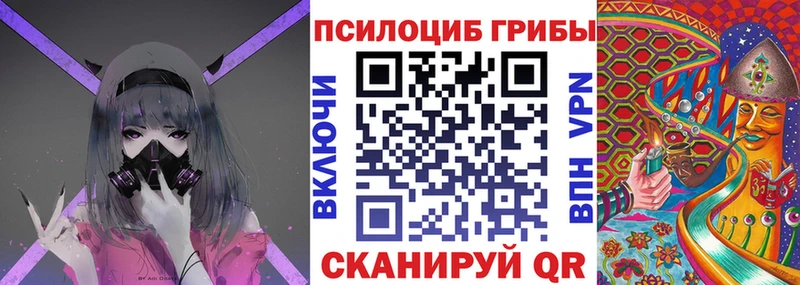 Псилоцибиновые грибы Cubensis  кракен   Наволоки 